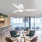 3 Blades Mute LED Dimmable with Remote Modern Ceiling Fans with Lights