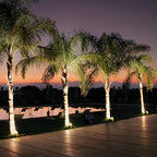 4 Pcs Eggshell RGB Multicolor Waterproof Adjustable Solar Outdoor Spotlights