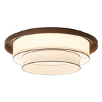 Auralyn Ceiling Light