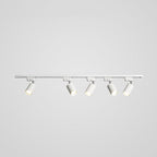 Adjustable Spotlight Track Ceiling Light