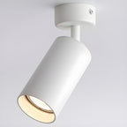 Arlo Accent Spotlight