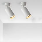 Arlo Accent Spotlight