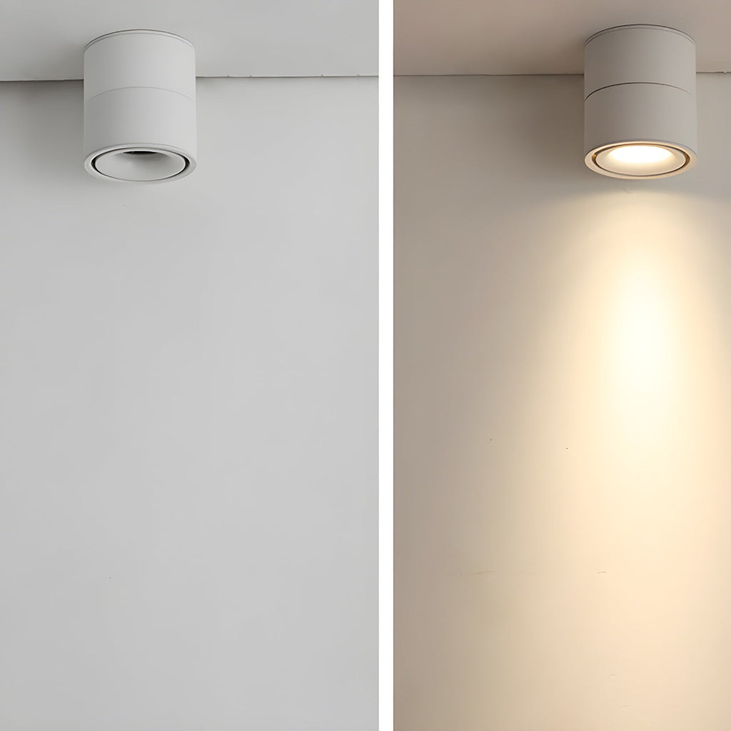 Artemis Surface Downlight