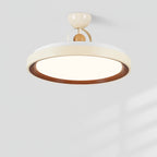 Aurora Nest Ceiling Lamp