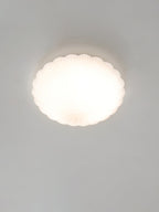 Devan Seashell Ceiling Lamp
