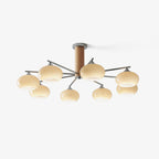 Elliptical Persimmon Chandelier