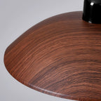 Ember Dome Pendant Light