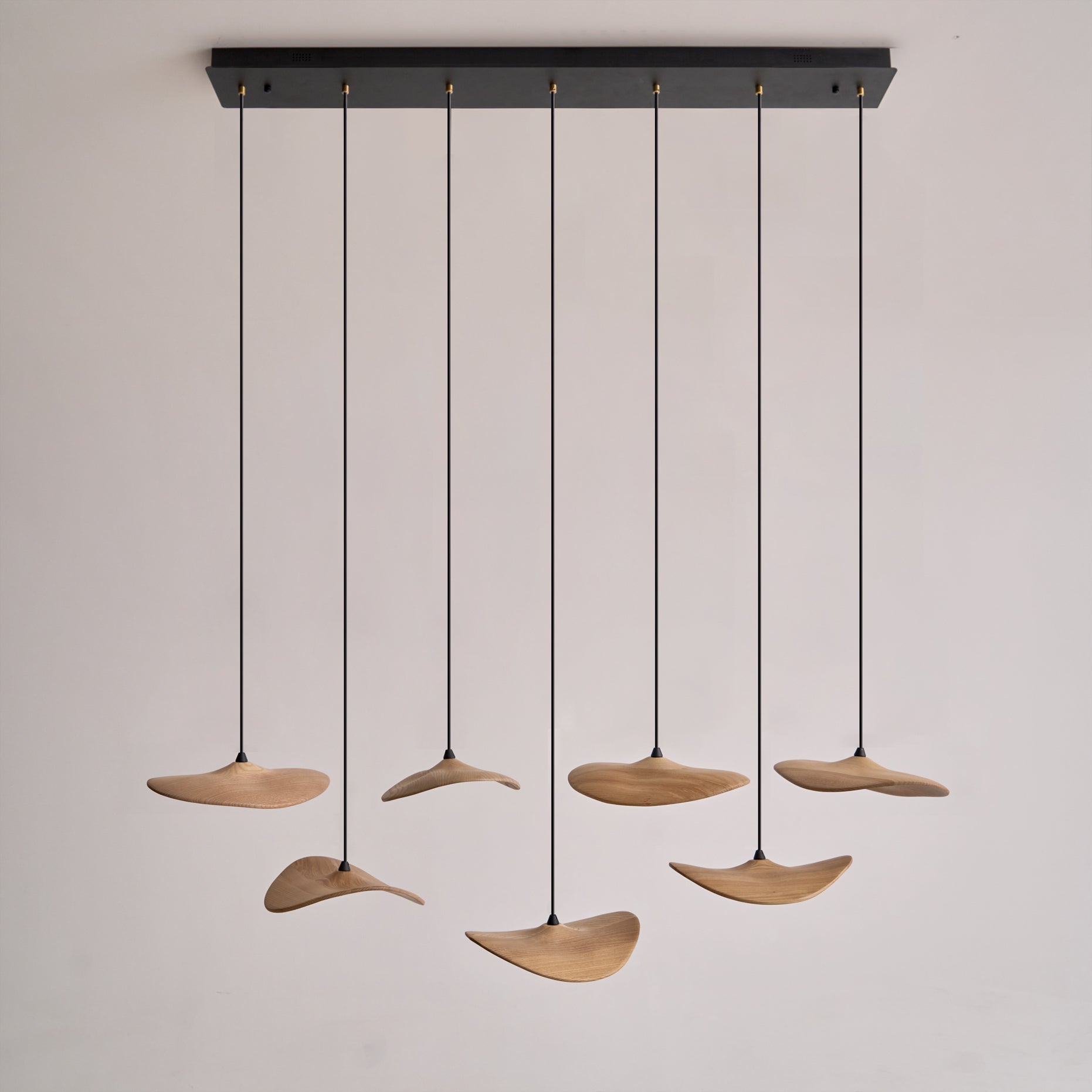 Empty Leaf Chandelier