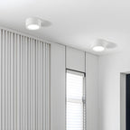 Ethan Surface Ceiling Light