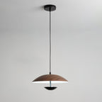 Frisbee Pendant Lamp