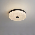 Frosted Dawn Ceiling Light