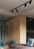 Gilded Rail Track Light