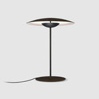 Ginger Table Light