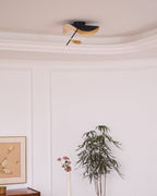 Giorgio Ceiling Light
