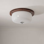 Glass Dome Ceiling Light