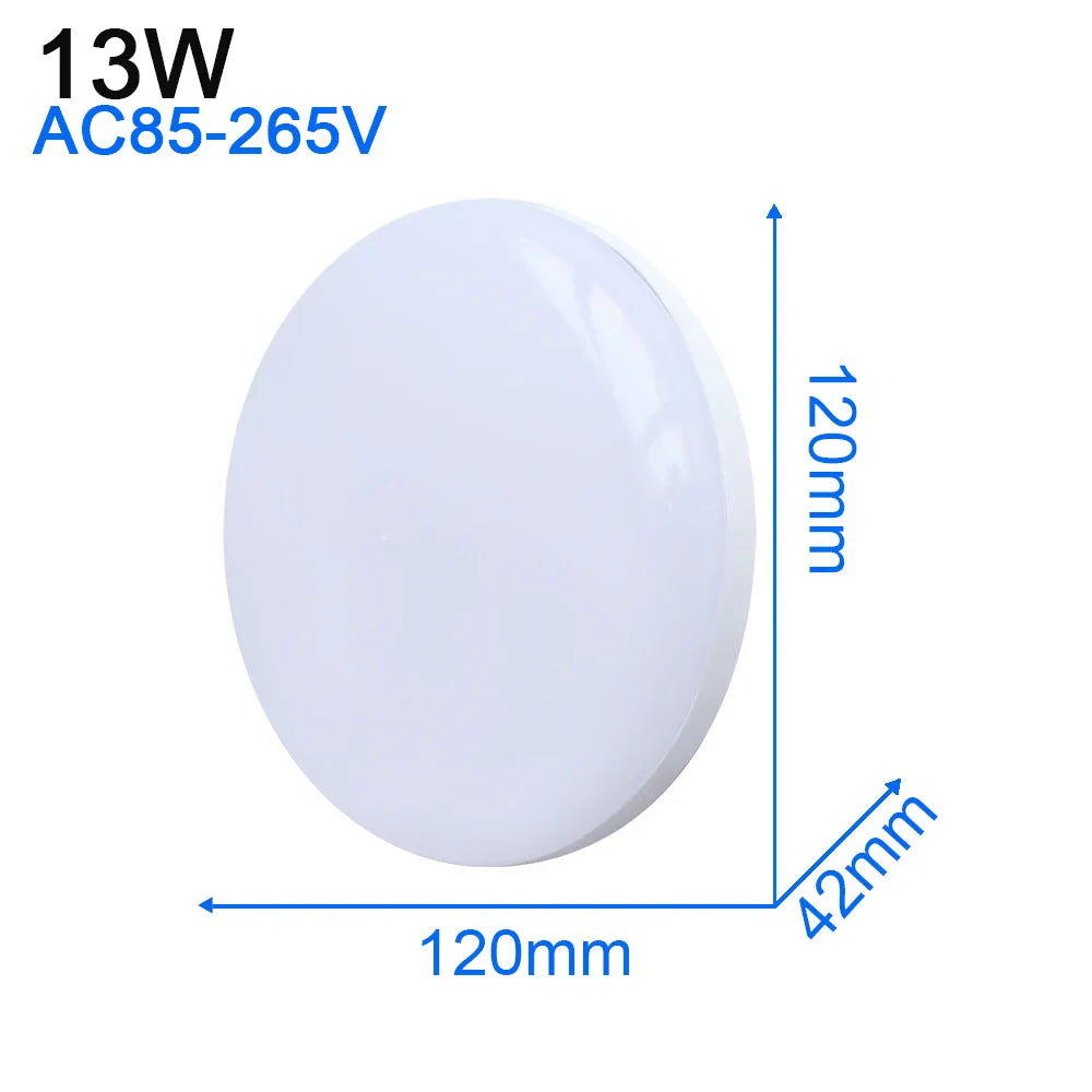 LED Ceiling Light: Modern Ultra-thin Panel, 6-48W, Surface Mounted for Living Room