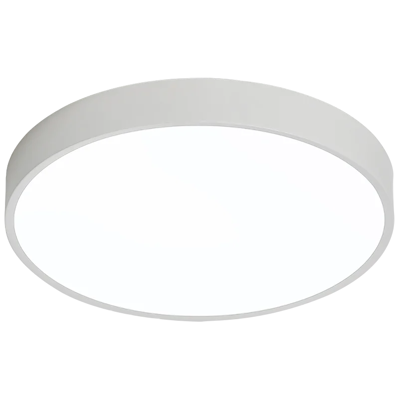 Dimmable LED Round Ceiling Light for Bedroom Kitchen Restaurant