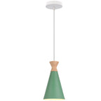 Vintage Modern Wood Pendant Lamp | Nordic Industrial LED Hanging Light