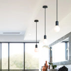 LED Pendant Lights Vintage Hanging Lamp Industrial Ceiling Fixture E27