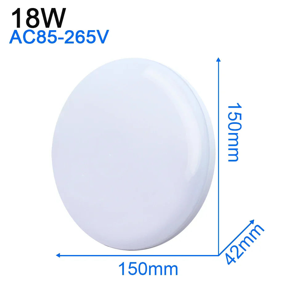 LED Ceiling Light: Modern Ultra-thin Panel, 6-48W, Surface Mounted for Living Room