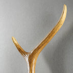 Retro Antlers Wall Lamp Deer Decor Wall Lights for Living Room Bar Bedroom Dining Room