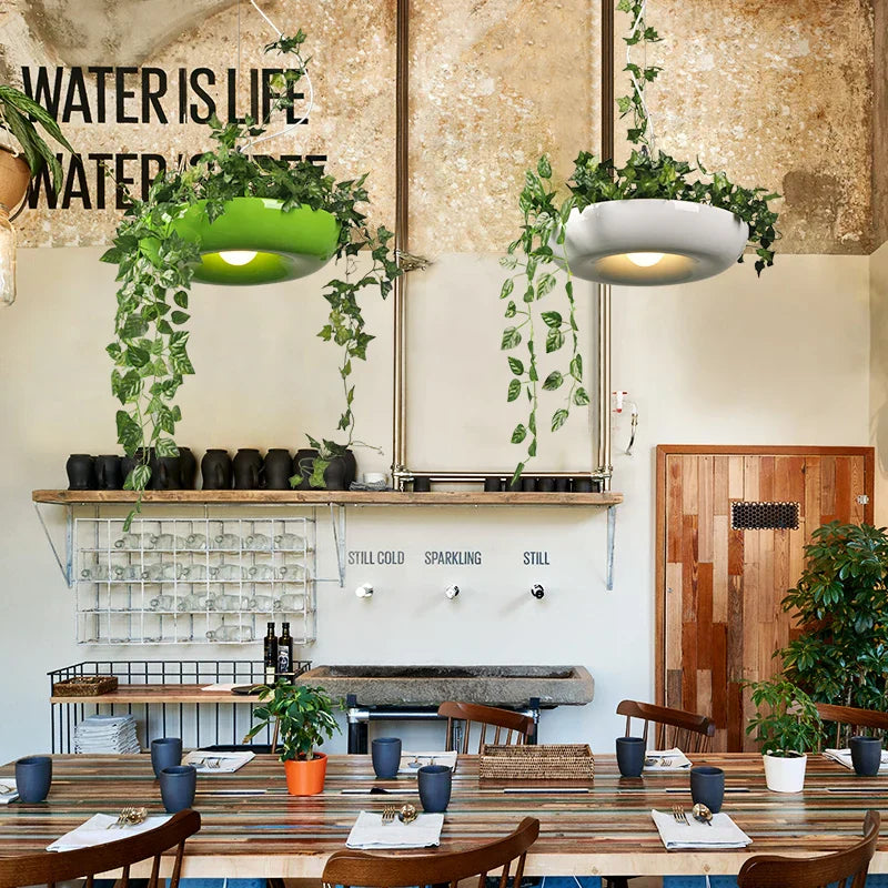 Modern Plant Pendant Lights: DIY Hanging Lamp for Home Decor Lighting Fixtures