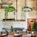 Modern Plant Pendant Lights: DIY Hanging Lamp for Home Decor Lighting Fixtures