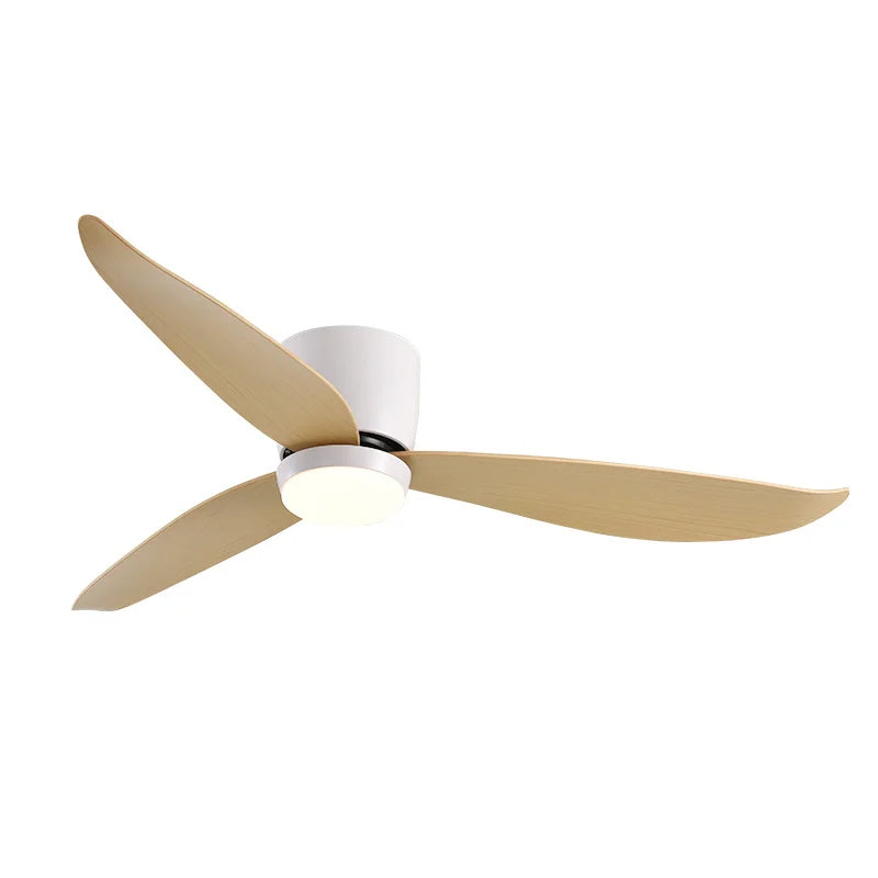 LED Ceiling Fan with Remote Control, Modern Design, Bedroom Decor, 220V