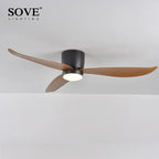 LED Ceiling Fan with Remote Control, Modern Design, Bedroom Decor, 220V