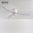 LED Ceiling Fan with Remote Control, Modern Design, Bedroom Decor, 220V