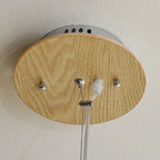 Nordic Dandelion Wooden Pendant Lights for Tea Room Dining Living, Artistic Personality Lamp