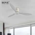 Village Ceiling Fan with Remote Control - LED Option, 220V/110V