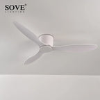 Modern Low Floor DC Ceiling Fan Remote Control Simple Operation 220V