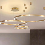 Modern LED Chandelier Brushed Rings Ceiling Mounted Lighting in Black & Coffee