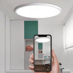 LED Ceiling Light: Modern Ultra-thin Panel, 6-48W, Surface Mounted for Living Room
