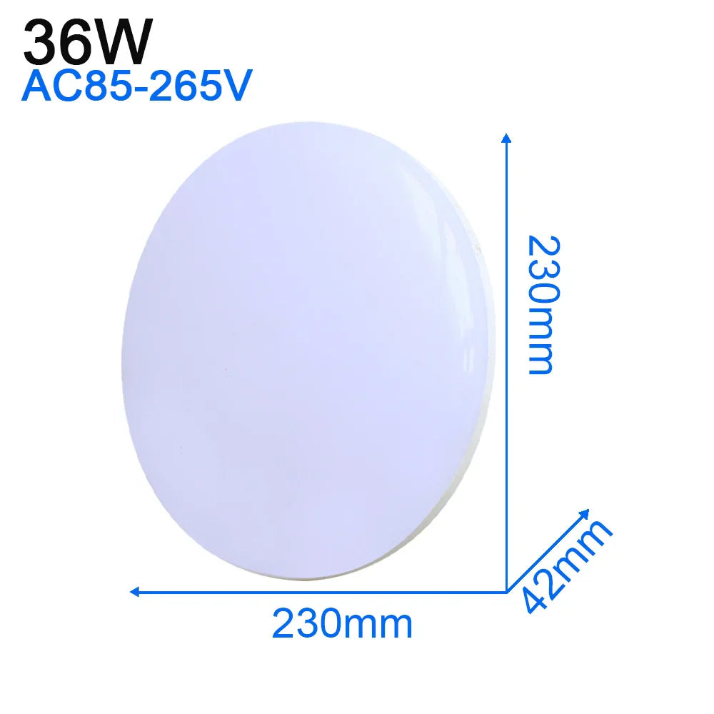 LED Ceiling Light: Modern Ultra-thin Panel, 6-48W, Surface Mounted for Living Room