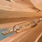 Nordic Dandelion Wooden Pendant Lights for Tea Room Dining Living, Artistic Personality Lamp