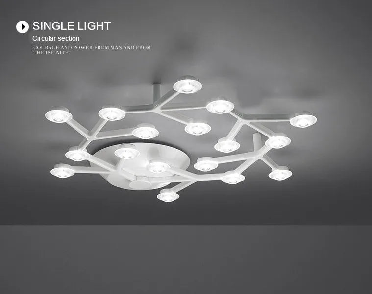 Metal Acrylic Plum Blossom LED Ceiling Light for Indoor Lighting