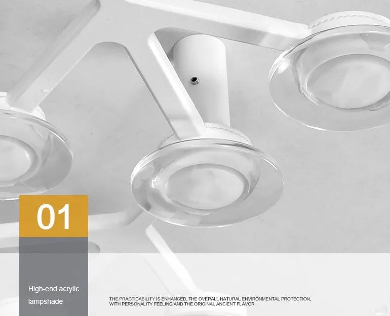 Metal Acrylic Plum Blossom LED Ceiling Light for Indoor Lighting