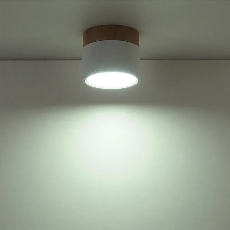 Nordic Color LED Ceiling Lights 5W-12W Aluminum Round Kitchen Ceiling Lamp
