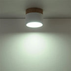 Nordic Color LED Ceiling Lights 5W-12W Aluminum Round Kitchen Ceiling Lamp