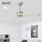 52" DC Remote Control Plastic Blade Ceiling Fan (No Lights)