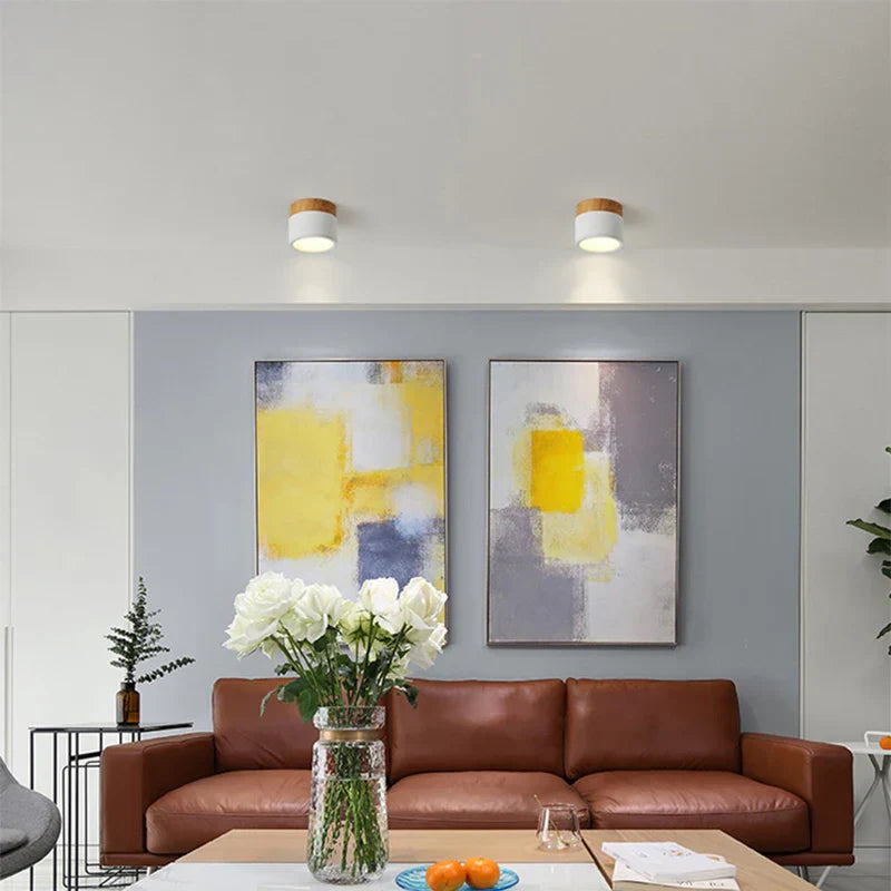 Nordic Color LED Ceiling Lights 5W-12W Aluminum Round Kitchen Ceiling Lamp