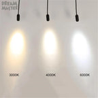 Zoomable Gooseneck Track Light for Gallery and Shop Ceiling Lighting