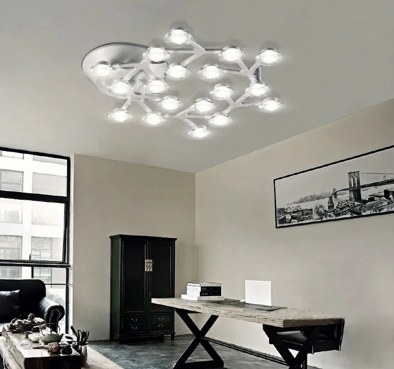 Metal Acrylic Plum Blossom LED Ceiling Light for Indoor Lighting