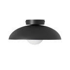 Harper Glass Dome Ceiling Lamp