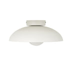Harper Glass Dome Ceiling Lamp