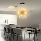 Dandelion Sea Urchin Chandelier LED Indoor Lighting.