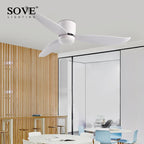 LED Ceiling Fan with Remote Control, Modern Design, Bedroom Decor, 220V