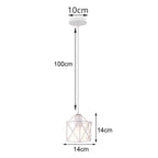 White Cage Industrial Pendant Light Fixture - Modern Loft Hanging Lamp